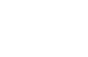 Politically Incorrect