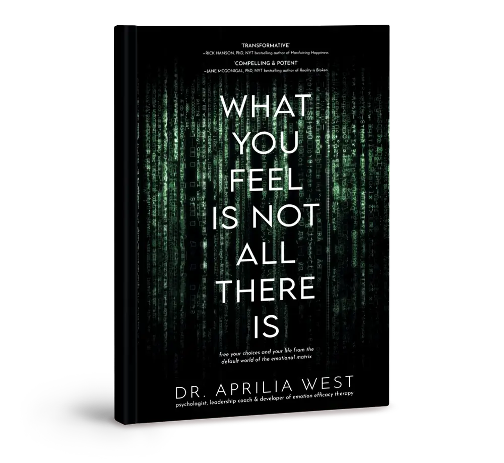"What You Feel Is Not All There Is" book cover